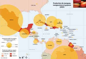 11-12-6_Agri-mangue_FR